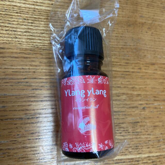 生活の木(セイカツノキ)の値下げ！新品 アロマ生活 イランイラン 4ml  生活の木  コスメ/美容のリラクゼーション(エッセンシャルオイル（精油）)の商品写真