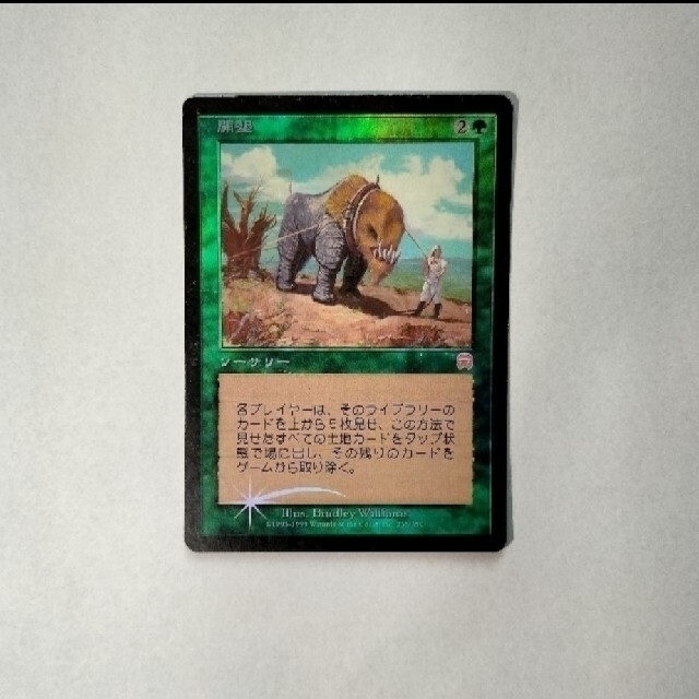 マジック：ザ・ギャザリング(マジックザギャザリング)のラクマ購入代行サービス様専用 MTG 占い/茂みの精霊/開墾 Foil 3枚 エンタメ/ホビーのトレーディングカード(その他)の商品写真