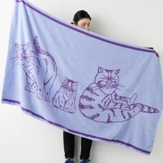 イアパピヨネ(ear PAPILLONNER)の【新品】ねこ家族　ビーチタオル　大判　イアパピヨネ ear PAPILLONER(タオル/バス用品)