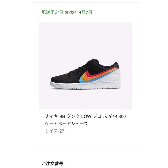 Polaroid × NIKE SB DUNK LOW PRO QS