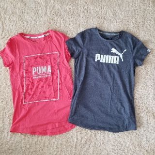 プーマ(PUMA)のプーマ Tシャツ ２枚セット puma PUMA Lサイズ(Tシャツ(半袖/袖なし))