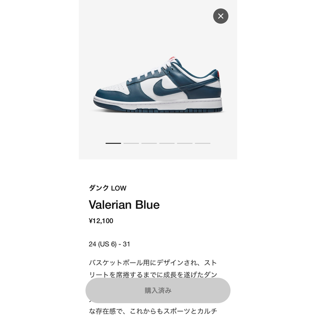 Nike Dunk Low Valerian Blue ナイキ ダンク ロー