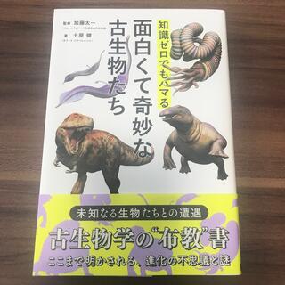 知識ゼロでもハマる面白くて奇妙な古生物たち(科学/技術)