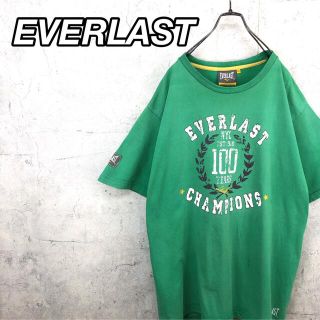 希少 90s エバーラスト Tシャツ ビッグプリント ビッグシルエット(Tシャツ/カットソー(半袖/袖なし))