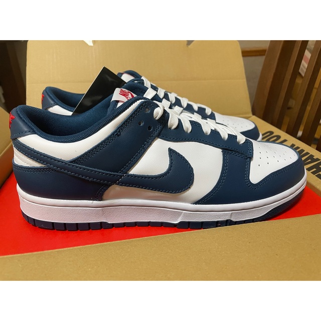 NIKE DUNK LOW RETRO VALERIAN BLUE ダンク