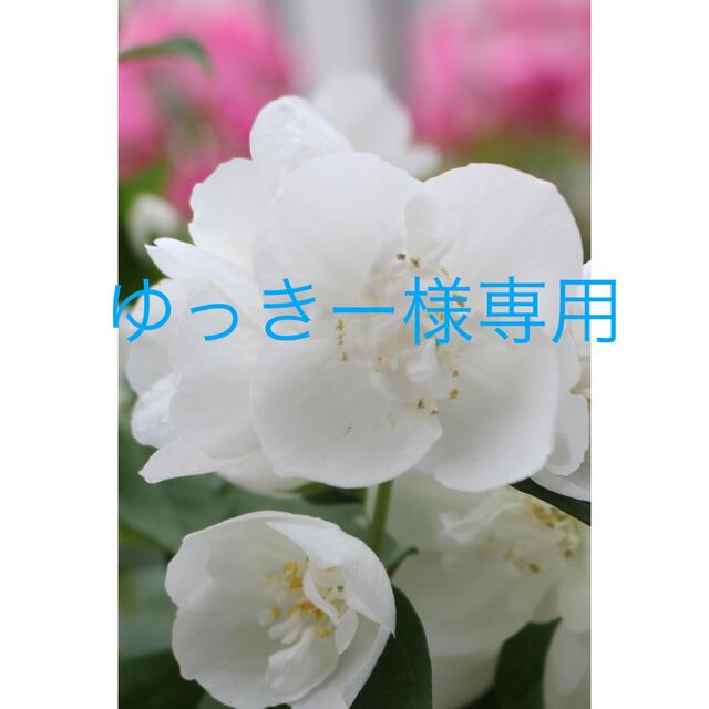 ゆっきー様専用ページです 【メーカー直送】 8246円 www.gold-and-wood.com