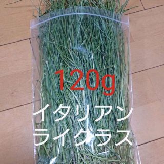 乾燥牧草 イタリアンライグラス 青刈り 120g(ペットフード)