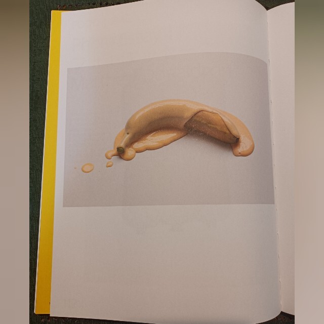 IKEA限定✨PHAIDON ファイドン　私たちとこの地球 エンタメ/ホビーの本(アート/エンタメ)の商品写真
