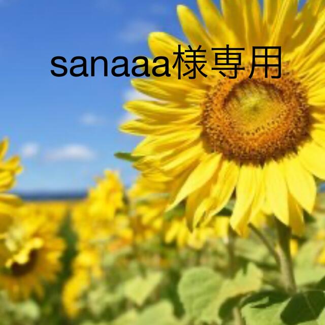 sanaaa様専用 その他のその他(その他)の商品写真