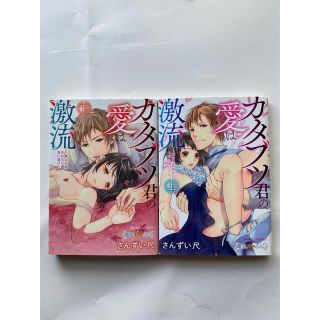 aneku 様専用！カタブツ君の愛は激流　上下巻セット(女性漫画)