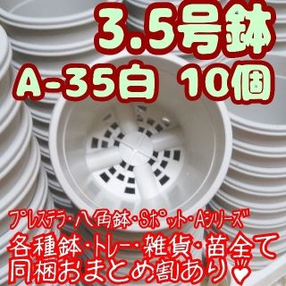 プラ鉢3.5号鉢【A-35】10個 他 スリット鉢 丸 プレステラ 多肉植物(プランター)