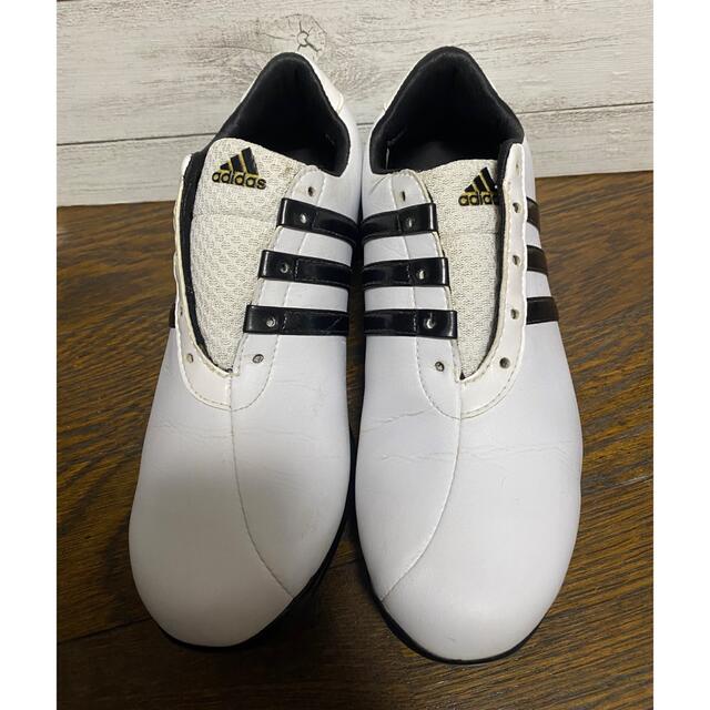 adidas(アディダス)のadidas golf  レディース　ゴルフシューズ　23cm スポーツ/アウトドアのゴルフ(シューズ)の商品写真