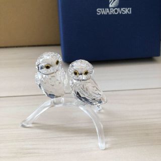 スワロフスキー(SWAROVSKI)のスワロフスキー つがいのふくろう　新品未使用(置物)