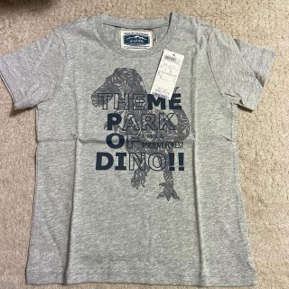 エニィファム(anyFAM)の新品　anyfam  恐竜柄　Tシャツ　130(Tシャツ/カットソー)