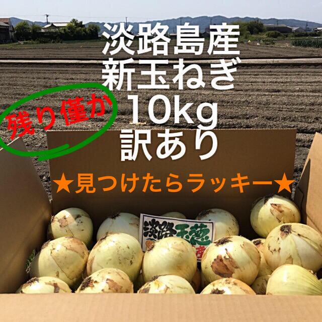 ★見つけたらラッキー★ 淡路島産　玉ねぎ　訳あり　10kg 食品/飲料/酒の食品(野菜)の商品写真