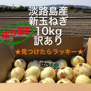 ★見つけたらラッキー★ 淡路島産　玉ねぎ　訳あり　10kg(野菜)