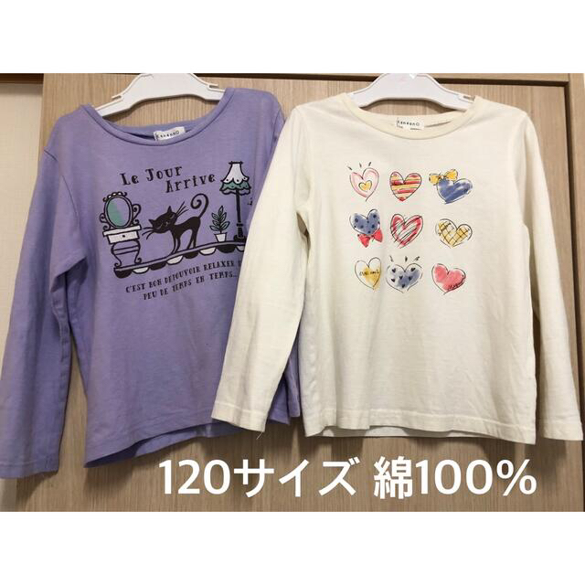 3can4on(サンカンシオン)の2枚セット価格　120size綿100%ロンT キッズ/ベビー/マタニティのキッズ服女の子用(90cm~)(Tシャツ/カットソー)の商品写真