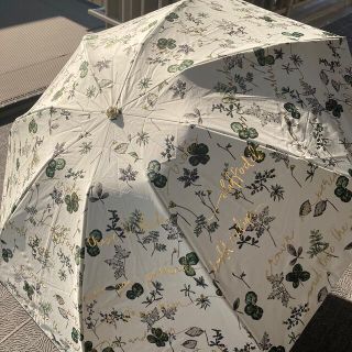 ジルスチュアート(JILLSTUART)の【ジルスチュアート】晴雨兼用折りたたみ傘 (傘)