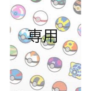 ポケモン(ポケモン)の杏さん専用(シングルカード)