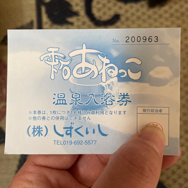 雫石 あねっこ 温泉入浴券 チケットの施設利用券(その他)の商品写真