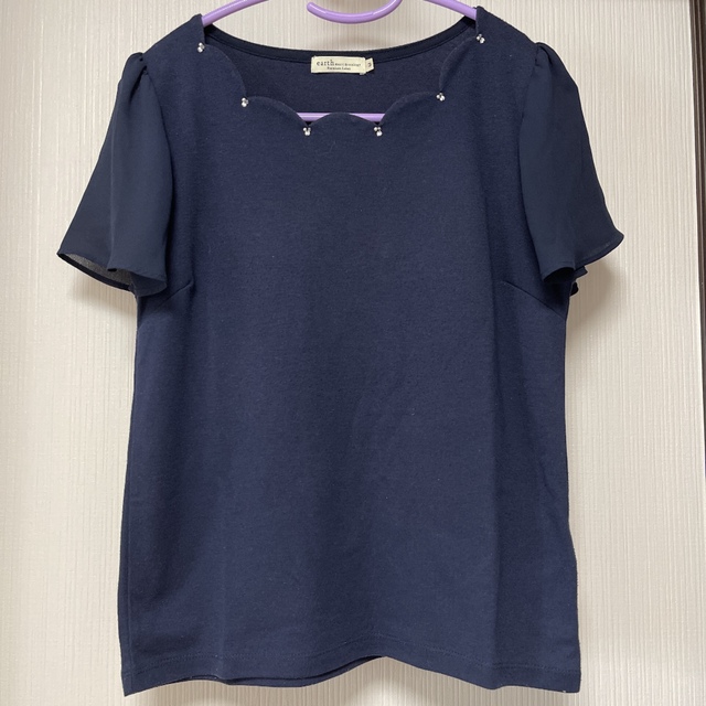 Techichi(テチチ)のちーちゃん様　専用 レディースのトップス(Tシャツ(半袖/袖なし))の商品写真