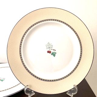 ウェッジウッド(WEDGWOOD)の限定品　ウェッジウッド　オーバルプレート２７ｃｍフルーツシンフォニー(食器)