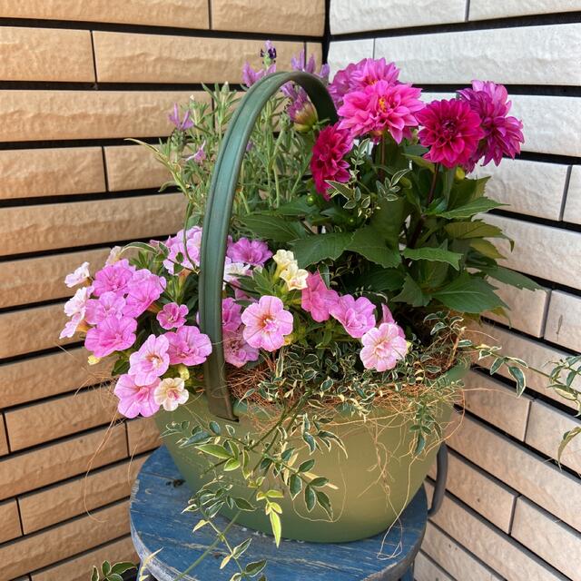 花ギフトピンクな寄せ植え♡母の日ギフト