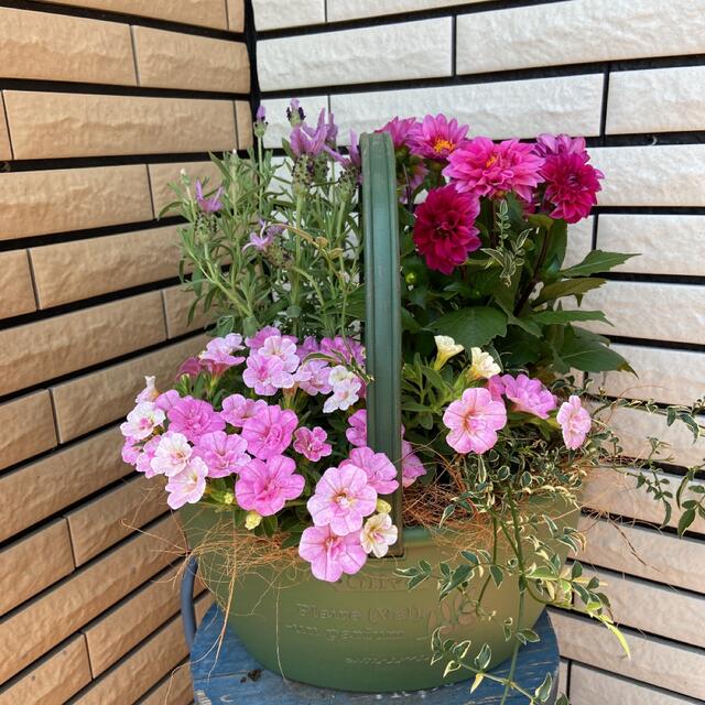 花ギフトピンクな寄せ植え♡母の日ギフト