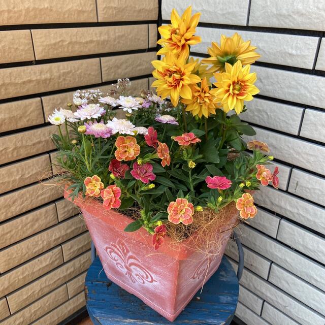 明るい寄せ植え♡母の日ギフトお祝い