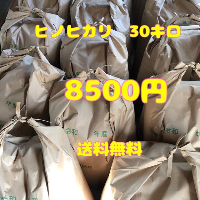 愛媛県産　30キロ　ヒノヒカリ玄米　米/穀物