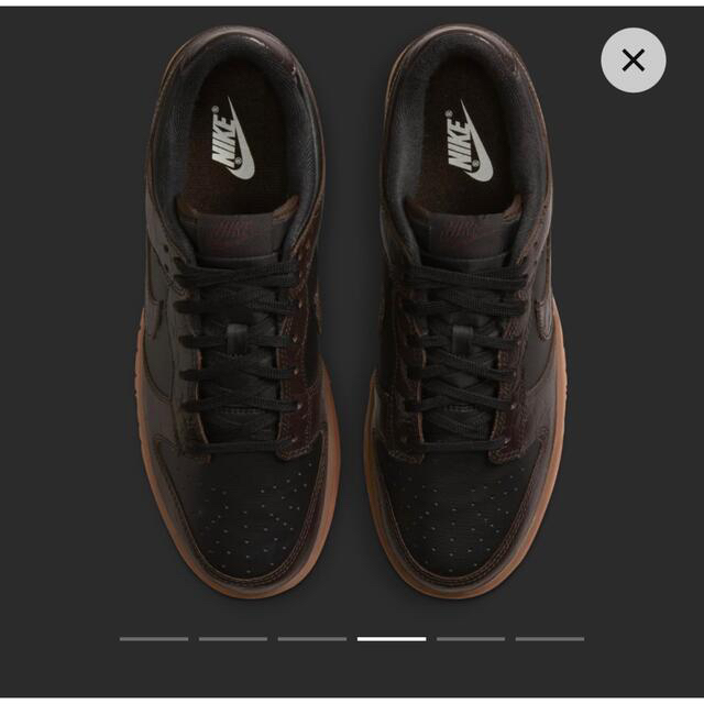 NIKE(ナイキ)のNike Dunk Low "Velvet Brown and Black" メンズの靴/シューズ(スニーカー)の商品写真