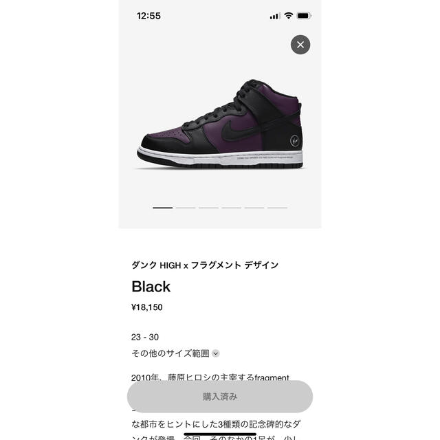 NIKE(ナイキ)のNIKE ナイキ ダンク ハイx フラグメント メンズの靴/シューズ(スニーカー)の商品写真