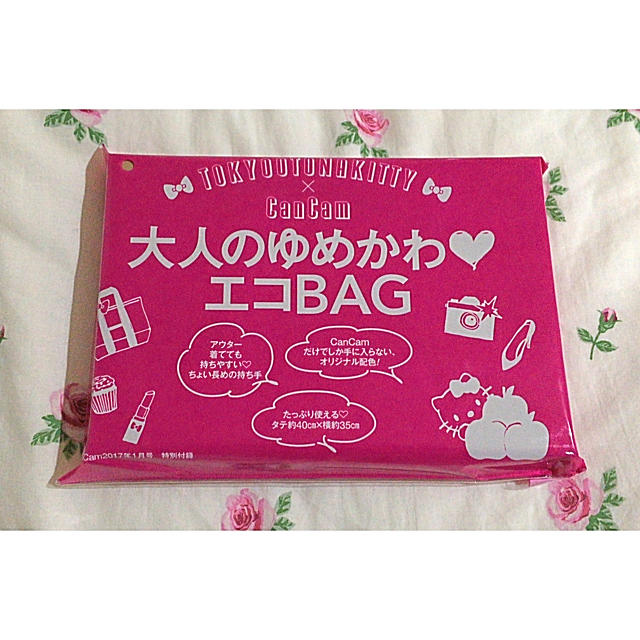 サンリオ(サンリオ)の１月号CanCan付録 キティちゃん 大人のゆめかわエコBAG レディースのバッグ(エコバッグ)の商品写真