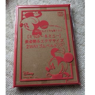 ゼクシィ 付録  2way ゴムベルト(エクササイズ用品)