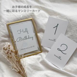 【 送料無料 】マンスリーカード 月齢カード シンプル 14枚セット(アルバム)