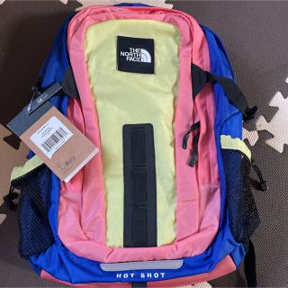 ザノースフェイス(THE NORTH FACE)のタグ付き新品ノースフェイスリュック(その他)