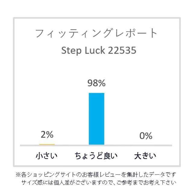 【22535-NAV-25.0】男女兼用フライニットスニーカー　フィット感抜群！ レディースの靴/シューズ(スニーカー)の商品写真