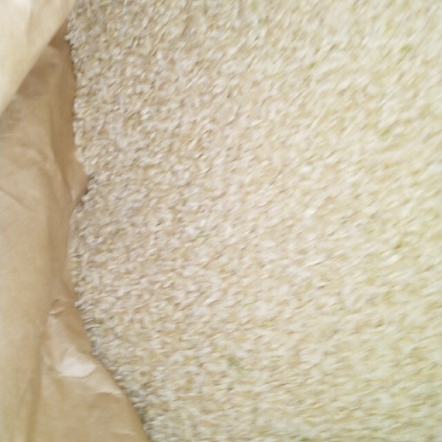 りなど 新米令和3年産栃木県特一等米コシヒカリ玄米、30キロ無農薬のお ...