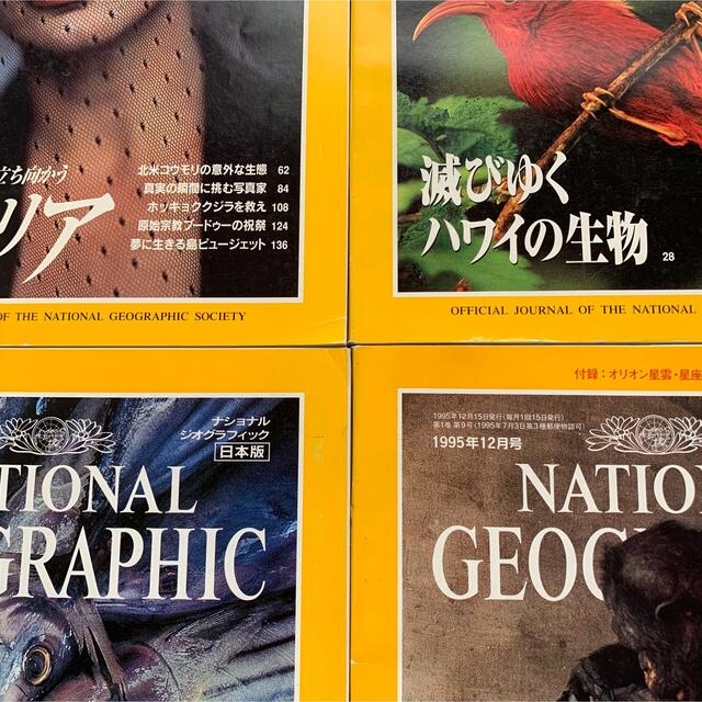 ナショナルジオグラフィック　by　創刊前特別号＋1995年4〜12月号の通販　日本版　REBECCA*｜ラクマ