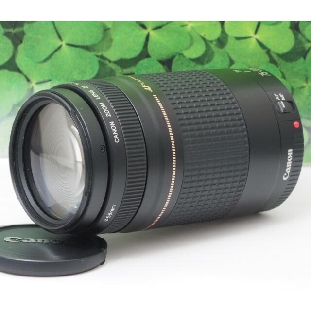 【美品】キャノンEF75-300mm超望遠ズーム❤️スポーツ、イベントで大活躍