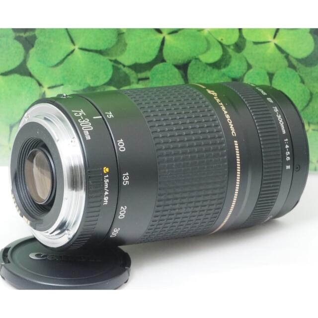 【美品】キャノンEF75-300mm超望遠ズーム❤️スポーツ、イベントで大活躍