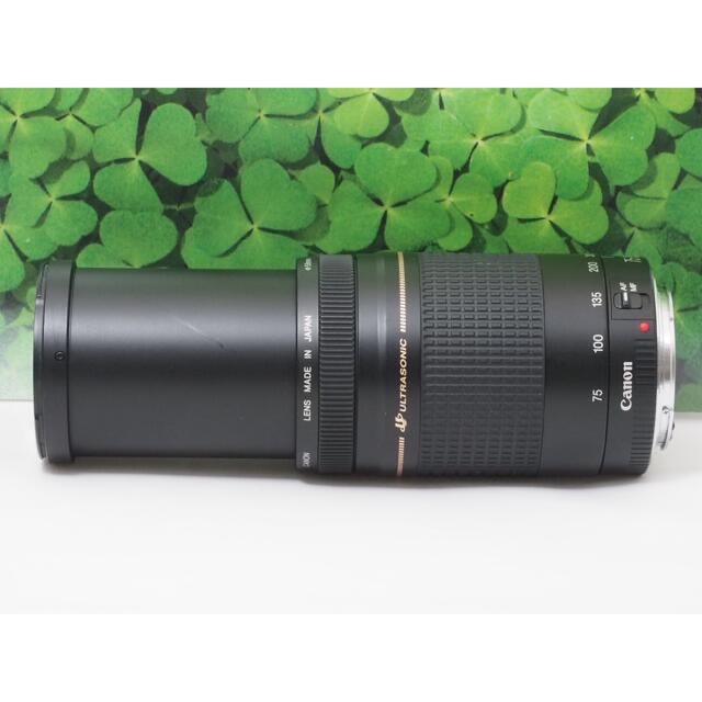 【美品】キャノンEF75-300mm超望遠ズーム❤️スポーツ、イベントで大活躍