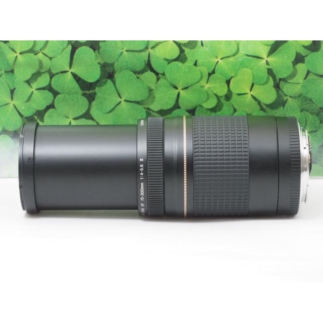 【美品】キャノンEF75-300mm超望遠ズーム❤️スポーツ、イベントで大活躍