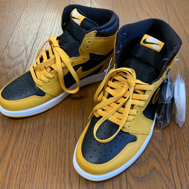 Jordan 1 retro High OG Pollen 27cm