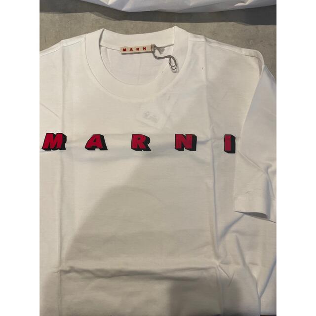 マルニ　ロゴ　Tシャツ