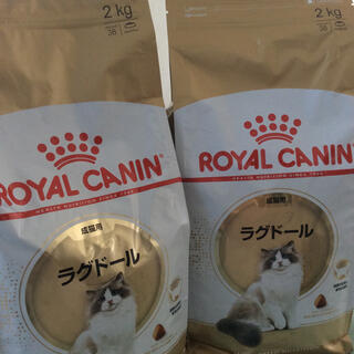 ロイヤルカナン(ROYAL CANIN)のロイヤルカナン 成猫用 ラグドール 2kg x 2(ペットフード)