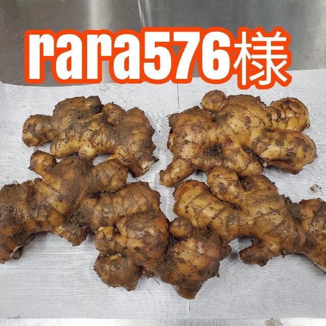 rara576様 種用生姜20キロ3 食品/飲料/酒の食品(野菜)の商品写真