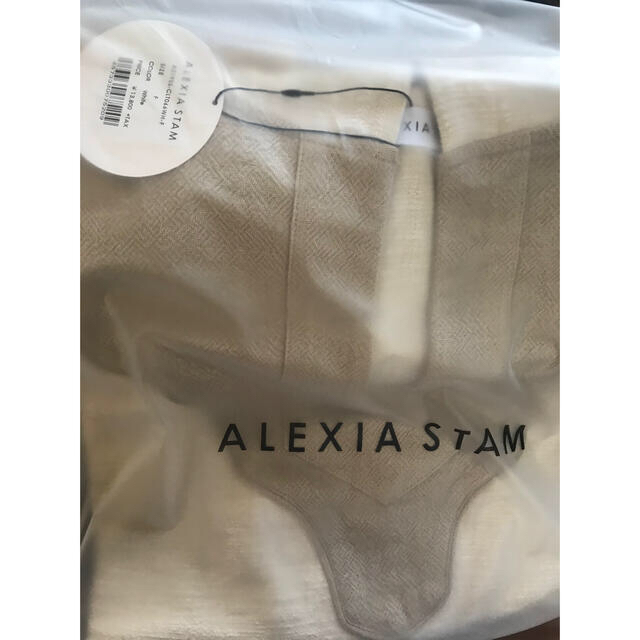 ALEXIA STAM(アリシアスタン)のアリシアスタン♡メキシカンフーディ　新品未使用タグ付き レディースのトップス(チュニック)の商品写真