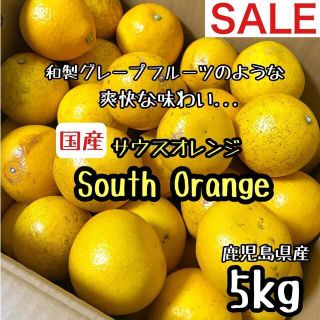 溢れる果汁◎サウス オレンジ 家庭用 5kg みかん好きにも(フルーツ)