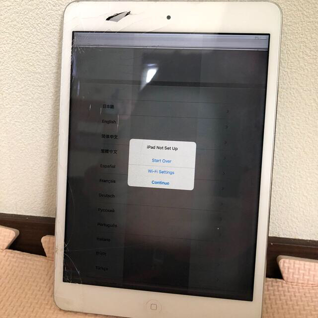 iPad mini 2